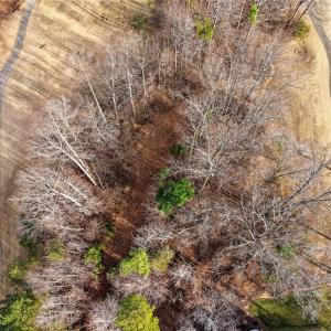 Photo #15 of 4101 Tansley, Greensboro, NC 0.7 acres