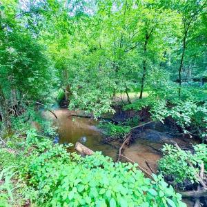 Photo #8 of 110 Asbury Place, Clemmons, NC 0.8 acres