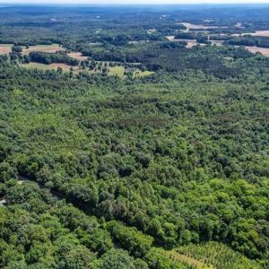 Photo #2 of Blanch, Blanch, NC 116.7 acres