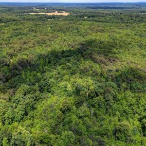 Photo #6 of Blanch, Blanch, NC 116.7 acres