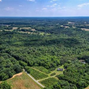 Photo #7 of Blanch, Blanch, NC 116.7 acres