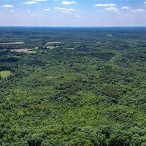 Photo #3 of Blanch, Blanch, NC 116.7 acres