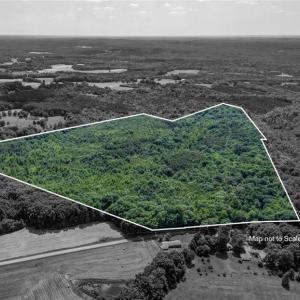 Photo #1 of Blanch, Blanch, NC 116.7 acres