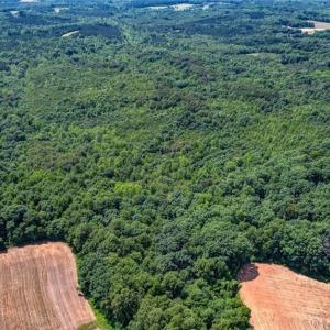 Photo #4 of Blanch, Blanch, NC 116.7 acres