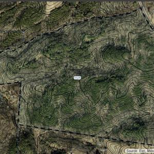 Photo #8 of Blanch, Blanch, NC 116.7 acres