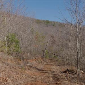 Photo #23 of 337 Goat House, Lambsburg, VA 210.0 acres
