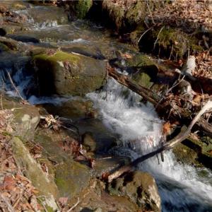 Photo #27 of 337 Goat House, Lambsburg, VA 210.0 acres