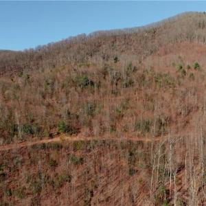 Photo #6 of 337 Goat House, Lambsburg, VA 210.0 acres