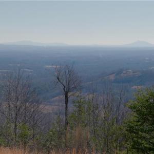 Photo #13 of 337 Goat House, Lambsburg, VA 210.0 acres