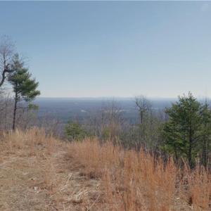 Photo #17 of 337 Goat House, Lambsburg, VA 210.0 acres