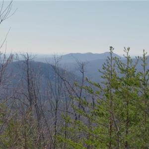 Photo #16 of 337 Goat House, Lambsburg, VA 210.0 acres