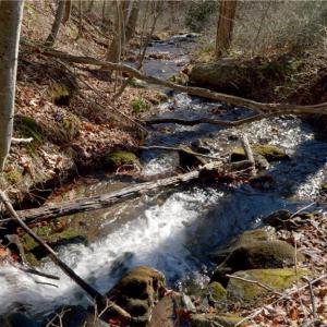 Photo #26 of 337 Goat House, Lambsburg, VA 210.0 acres