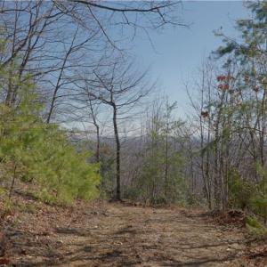 Photo #22 of 337 Goat House, Lambsburg, VA 210.0 acres
