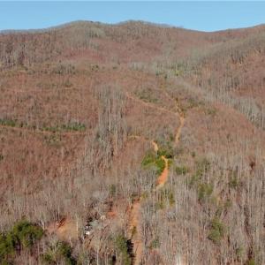 Photo #7 of 337 Goat House, Lambsburg, VA 210.0 acres