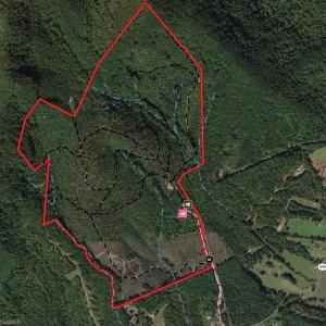 Photo #36 of 337 Goat House, Lambsburg, VA 210.0 acres