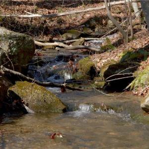 Photo #28 of 337 Goat House, Lambsburg, VA 210.0 acres