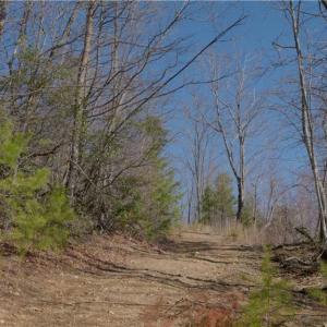 Photo #20 of 337 Goat House, Lambsburg, VA 210.0 acres