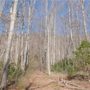 Photo #30 of 337 Goat House, Lambsburg, VA 210.0 acres
