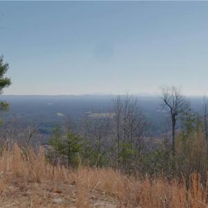 Photo #14 of 337 Goat House, Lambsburg, VA 210.0 acres