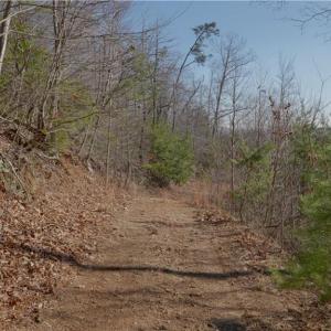Photo #18 of 337 Goat House, Lambsburg, VA 210.0 acres