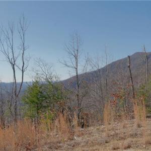 Photo #15 of 337 Goat House, Lambsburg, VA 210.0 acres