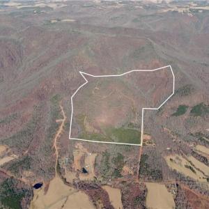 Photo #11 of 337 Goat House, Lambsburg, VA 210.0 acres