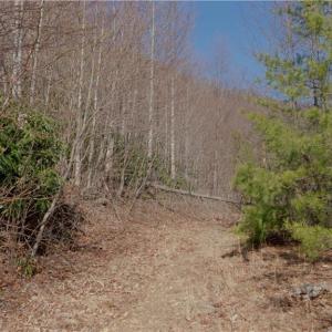 Photo #19 of 337 Goat House, Lambsburg, VA 210.0 acres