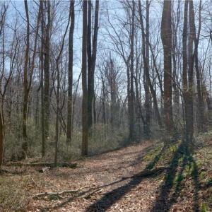 Photo #31 of 337 Goat House, Lambsburg, VA 210.0 acres