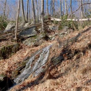 Photo #25 of 337 Goat House, Lambsburg, VA 210.0 acres