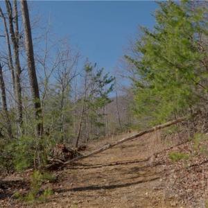 Photo #21 of 337 Goat House, Lambsburg, VA 210.0 acres
