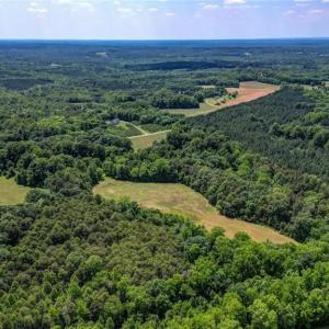 Photo #13 of Blanch, Blanch, NC 27.7 acres