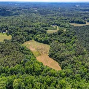 Photo #12 of Blanch, Blanch, NC 27.7 acres