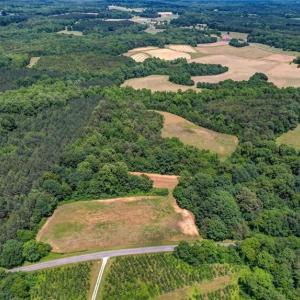 Photo #3 of Blanch, Blanch, NC 27.7 acres