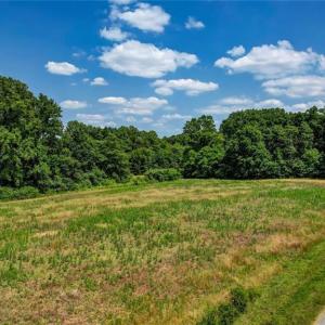 Photo #5 of Blanch, Blanch, NC 27.7 acres