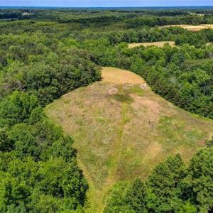Photo #9 of Blanch, Blanch, NC 27.7 acres