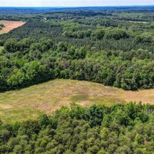 Photo #10 of Blanch, Blanch, NC 27.7 acres