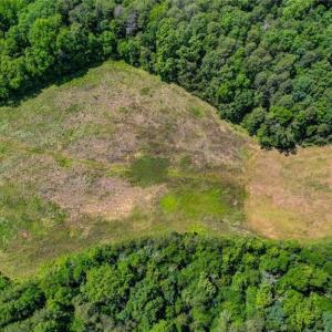 Photo #14 of Blanch, Blanch, NC 27.7 acres