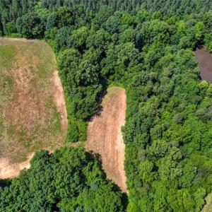 Photo #15 of Blanch, Blanch, NC 27.7 acres