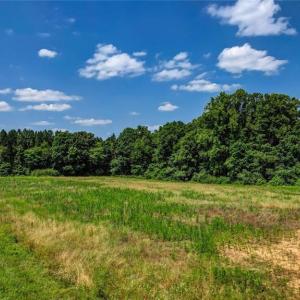 Photo #4 of Blanch, Blanch, NC 27.7 acres
