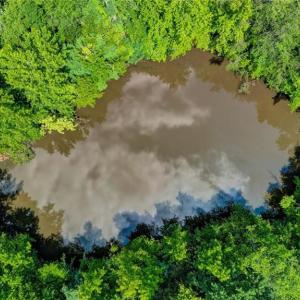 Photo #8 of Blanch, Blanch, NC 27.7 acres