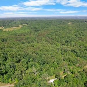 Photo #6 of Davis, Walkertown, NC 67.6 acres