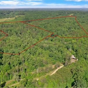 Photo #1 of Davis, Walkertown, NC 67.6 acres