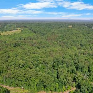 Photo #5 of Davis, Walkertown, NC 67.6 acres