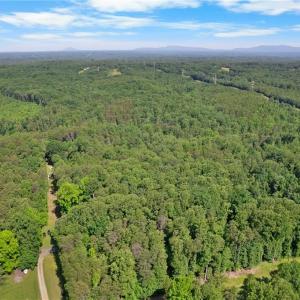 Photo #9 of Davis, Walkertown, NC 67.6 acres