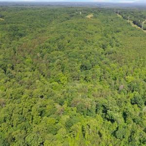 Photo #11 of Davis, Walkertown, NC 67.6 acres