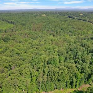 Photo #4 of Davis, Walkertown, NC 67.6 acres