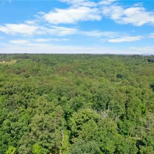 Photo #8 of Davis, Walkertown, NC 67.6 acres