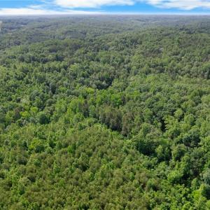 Photo #7 of Davis, Walkertown, NC 67.6 acres