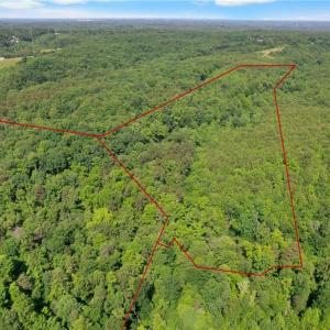 Photo #3 of Davis, Walkertown, NC 67.6 acres