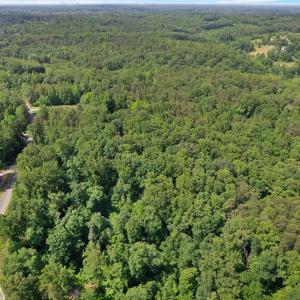 Photo #10 of Davis, Walkertown, NC 67.6 acres